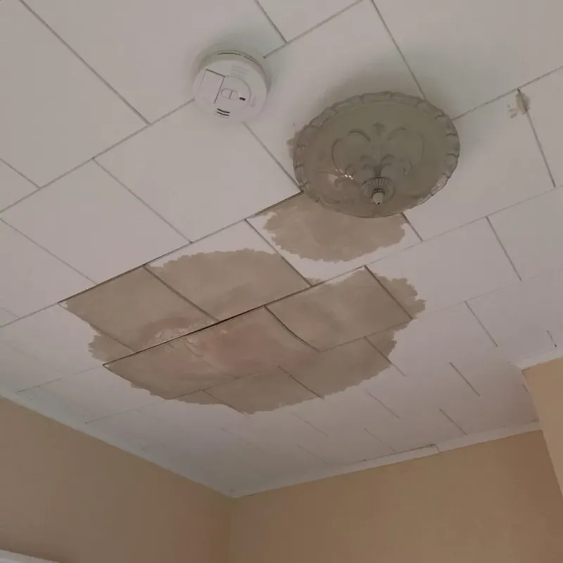 Ceiling Water Damage Repair in Norman, OK