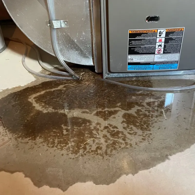 Pipe Burst and Leak Restoration in Norman, OK